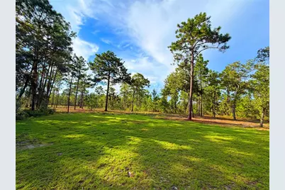 104 Doe Trail, Hawthorne, FL 32640 - Photo 49