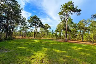 104 Doe Trail, Hawthorne, FL 32640 - Photo 49