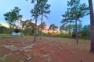 104 Doe Trail, Hawthorne, FL 32640 - Photo 57