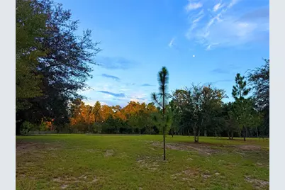 104 Doe Trail, Hawthorne, FL 32640 - Photo 65