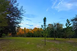 104 Doe Trail, Hawthorne, FL 32640 - Photo 65