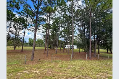 104 Doe Trail, Hawthorne, FL 32640 - Photo 39
