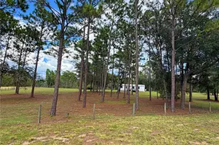 104 Doe Trail, Hawthorne, FL 32640 - Photo 39
