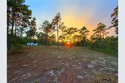 104 Doe Trail, Hawthorne, FL 32640 - Photo 51