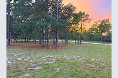 104 Doe Trail, Hawthorne, FL 32640 - Photo 61