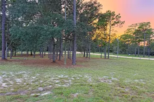 104 Doe Trail, Hawthorne, FL 32640 - Photo 61