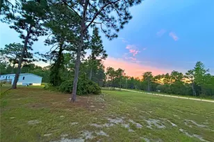 104 Doe Trail, Hawthorne, FL 32640 - Photo 55