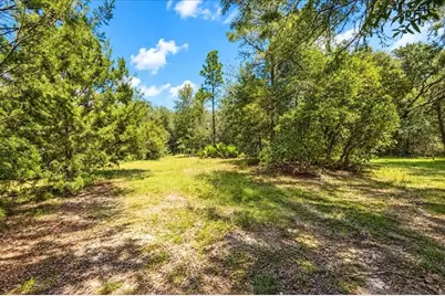 12150 NE 75th Street, Bronson, FL 32621 - Photo 13