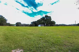 3276 Co Rd 216, Oxford, FL 34484 - Photo 53