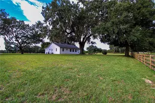 3276 Co Rd 216, Oxford, FL 34484 - Photo 55