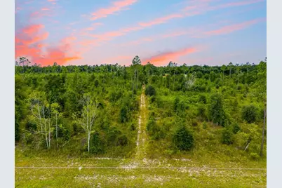 Tbd 211th Court, Live Oak, FL 32060 - Photo 7