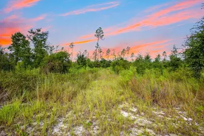 Tbd 211th Court, Live Oak, FL 32060 - Photo 5