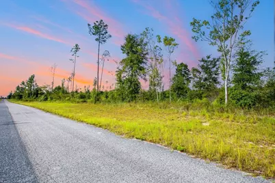 Tbd 211th Court, Live Oak, FL 32060 - Photo 3