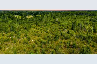 Tbd 211th Court, Live Oak, FL 32060 - Photo 11