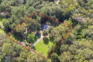 20944 NW 100th Avenue Rd, Micanopy, FL 32667 - Photo 67