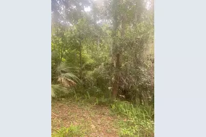 1015 SW 9th Street #C-2, Gainesville, FL 32601 - Photo 11