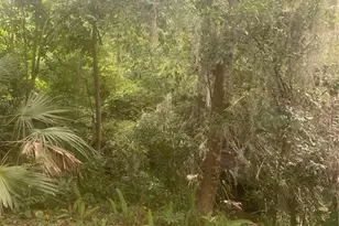 1015 SW 9th St, Gainesville, FL 32601 - Photo 11