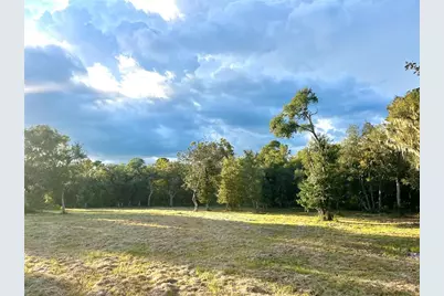Canal Street, Fanning Springs, FL 32693 - Photo 3