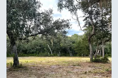 Canal Street, Fanning Springs, FL 32693 - Photo 11