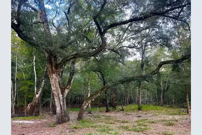 Canal Street, Fanning Springs, FL 32693 - Photo 7