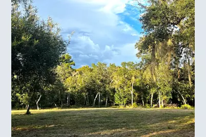 Canal Street, Fanning Springs, FL 32693 - Photo 1