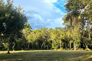 Canal St, Fanning Springs, FL 32693 - Photo 1
