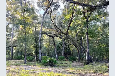 Canal Street, Fanning Springs, FL 32693 - Photo 5