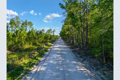 Tbd SW 126th Avenue, Lake Butler, FL 32054 - Photo 3