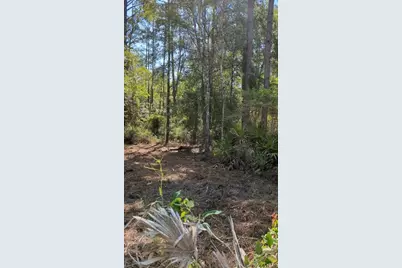 Sw 126th Avenue, Lake Butler, FL 32054 - Photo 3