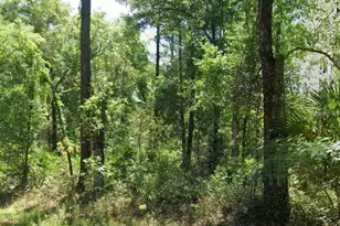 3718 E Walker St, Inverness, FL 34453 - Photo 1