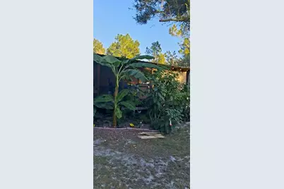 631 NE 674th Street, Old Town, FL 32680 - Photo 7