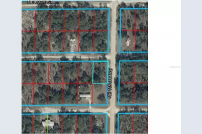 00 NE 115th Ave, Williston, FL 32696 - Photo 7