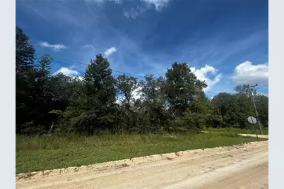 00 NE 115th Ave, Williston, FL 32696 - Photo 1