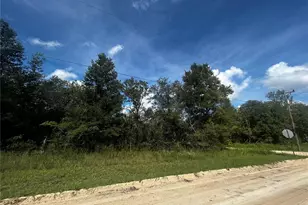 00 NE 115th Ave, Williston, FL 32696 - Photo 1