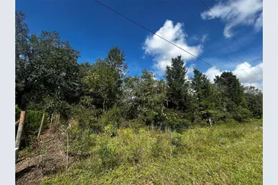 00 NE 115th Ave, Williston, FL 32696 - Photo 5