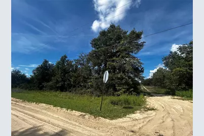 00 NE 115th Ave, Williston, FL 32696 - Photo 3