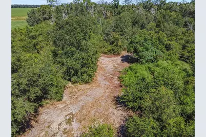 4710 SW 22nd Avenue, Bell, FL 32619 - Photo 11