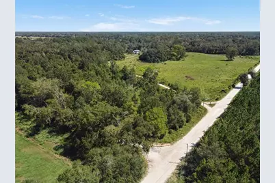 4710 SW 22nd Avenue, Bell, FL 32619 - Photo 7
