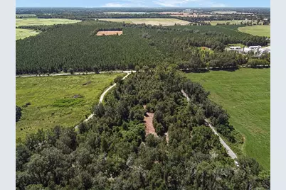 4710 SW 22nd Avenue, Bell, FL 32619 - Photo 21