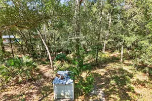 10006 SW 90th St, Gainesville, FL 32608 - Photo 93