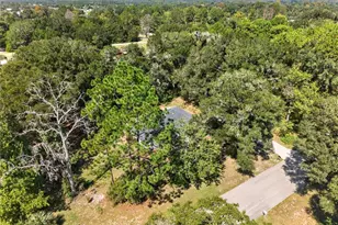 10006 SW 90th St, Gainesville, FL 32608 - Photo 73