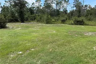 2617 NW 58 Ave, Jennings, FL 32053 - Photo 29