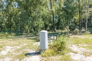 21856 131st Dr, O'Brien, FL 32071 - Photo 33