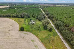 10190 SE Co Rd 319, Trenton, FL 32693 - Photo 53