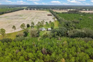 10190 SE Co Rd 319, Trenton, FL 32693 - Photo 25