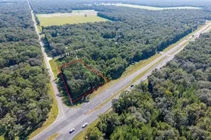0000 Hwy 19, Chiefland, FL 32626 - Photo 1