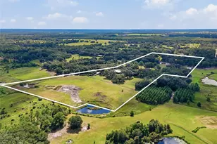 18731 SE 30th St, Morriston, FL 32668 - Photo 57