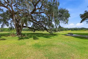 18731 SE 30th St, Morriston, FL 32668 - Photo 31