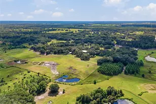 18731 SE 30th St, Morriston, FL 32668 - Photo 59