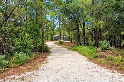 419 Lily Trail, Interlachen, FL 32148 - Photo 5